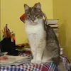 Отзыв от Вика Пименова
